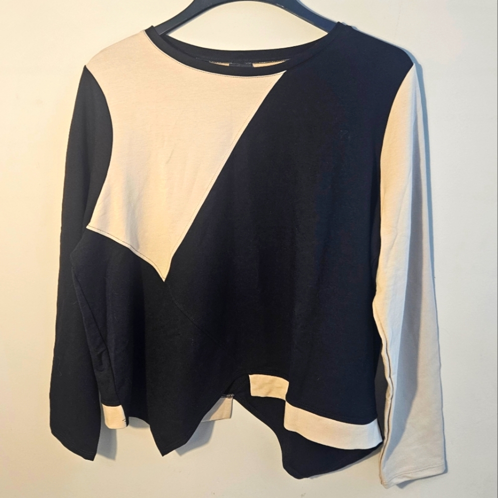 Lisa Bayne Asymmetrical Hem, Colorblock Long Sleeve Top